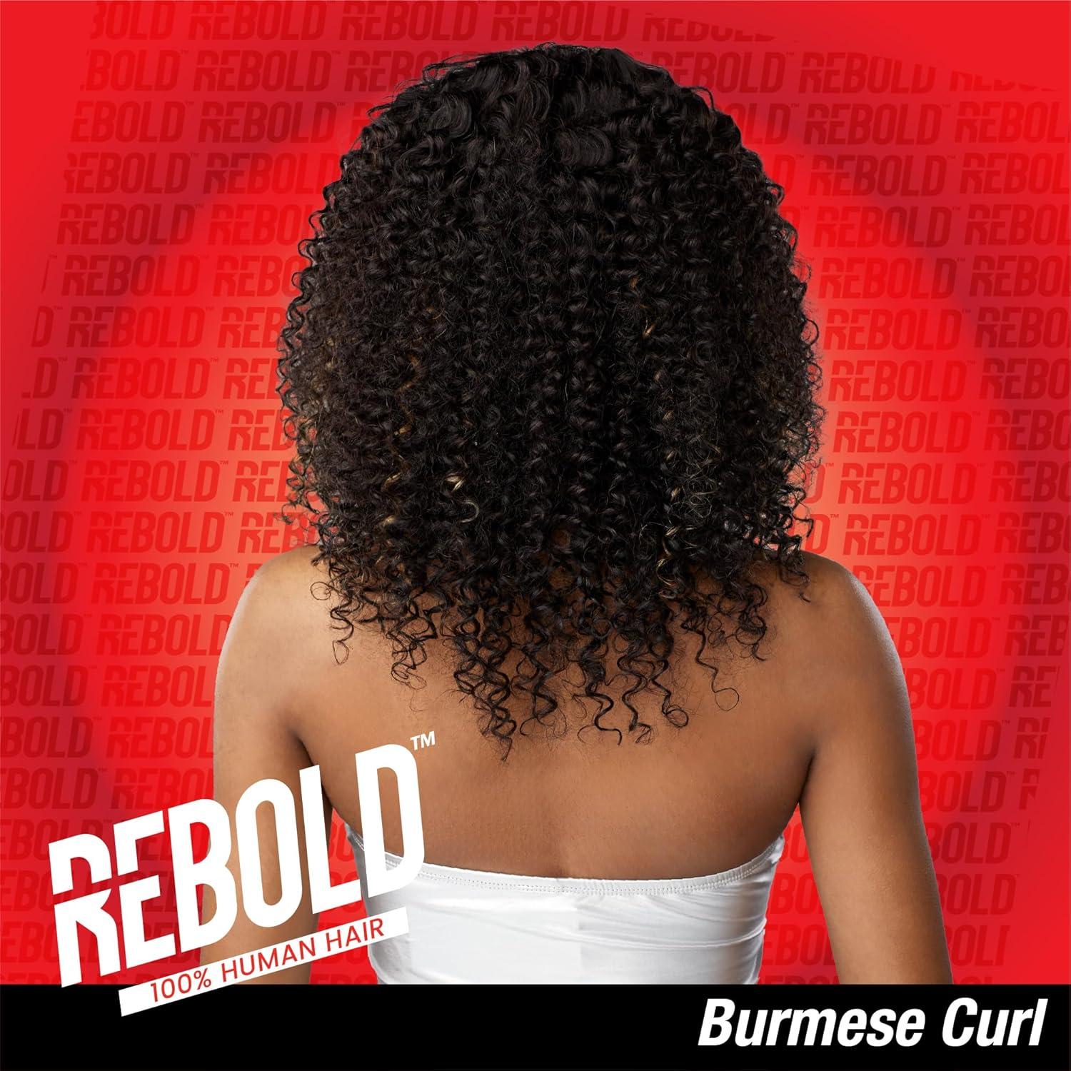 imageSensationnel Rebold curly weave burmese curl human hair smooth sleek soft texture hair for weaving and sew in styles 1 pack 10 inch 1 JETBLACK4 MEDBROWN