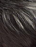 imageSensationnel Empire Human Hair Wig Salt And Pepper Flora Contouring Mesh Cap Heat Safe 1 JETBLACKHL1B44